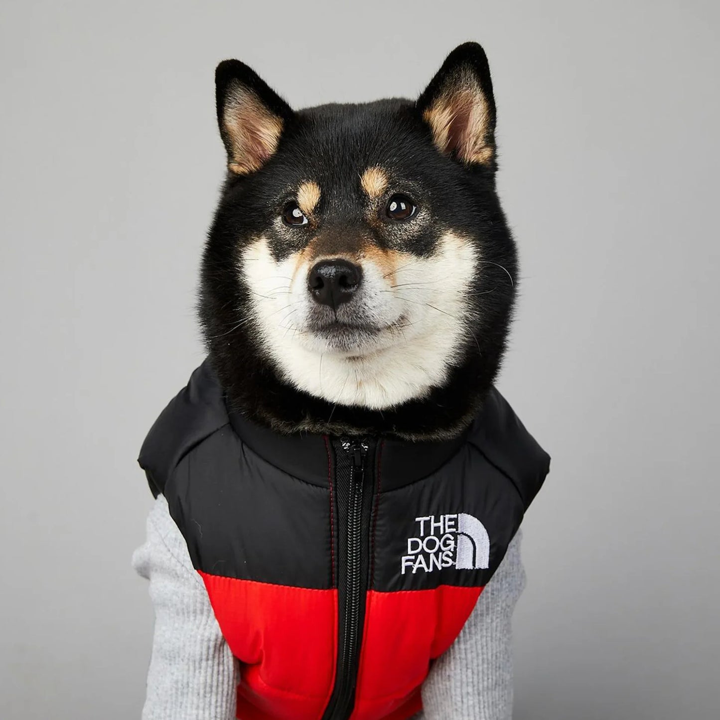 The Dog Fans Luxe Hondenpak