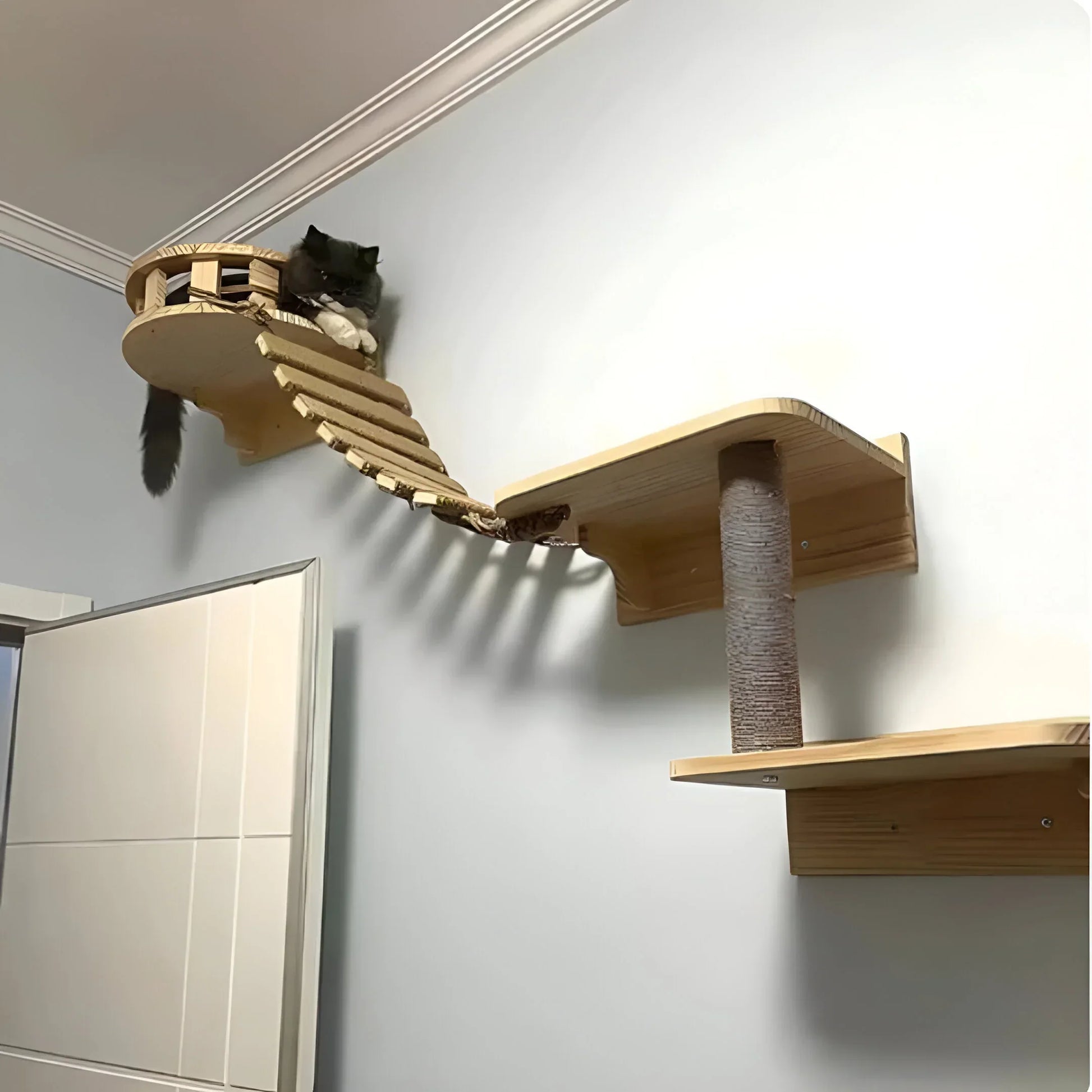 Mavi | Katzenbrücke zur Wandmontage mit Sisalseil