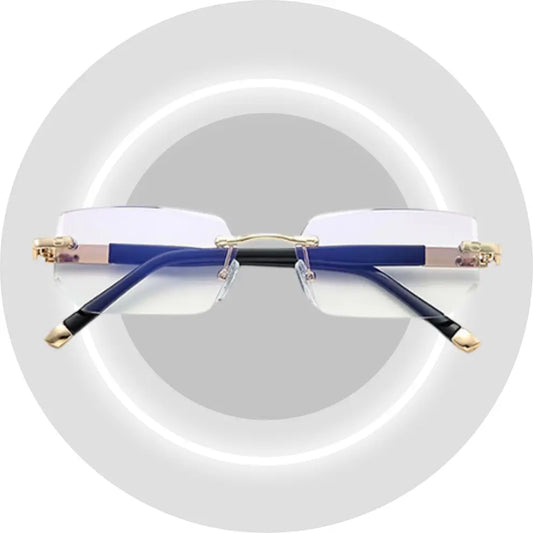 1x VisionPro™