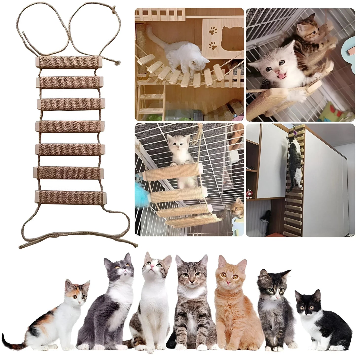 Mavi | Katzenbrücke zur Wandmontage mit Sisalseil