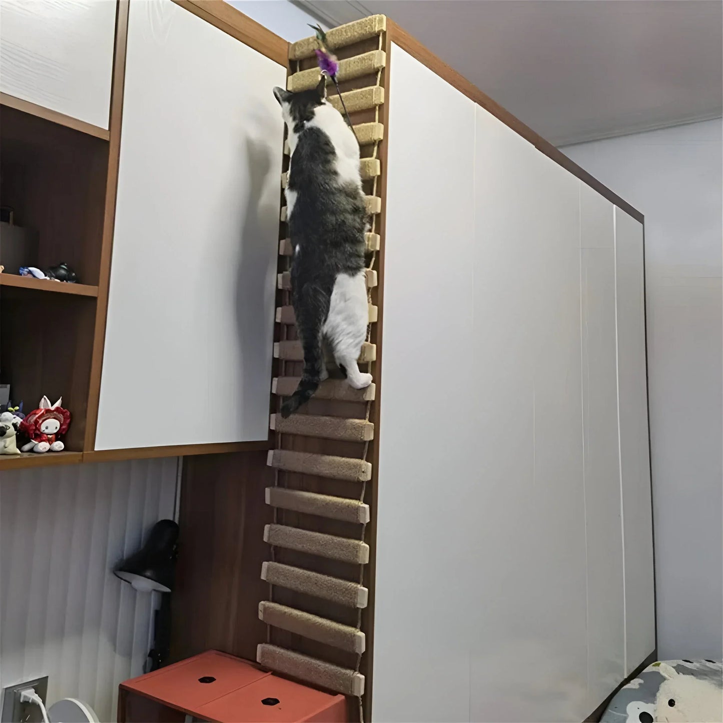 Mavi | Katzenbrücke zur Wandmontage mit Sisalseil
