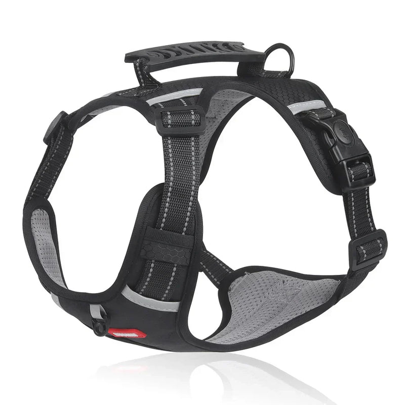 Robustes & Komfortables Hundegeschirr - ActivePup™