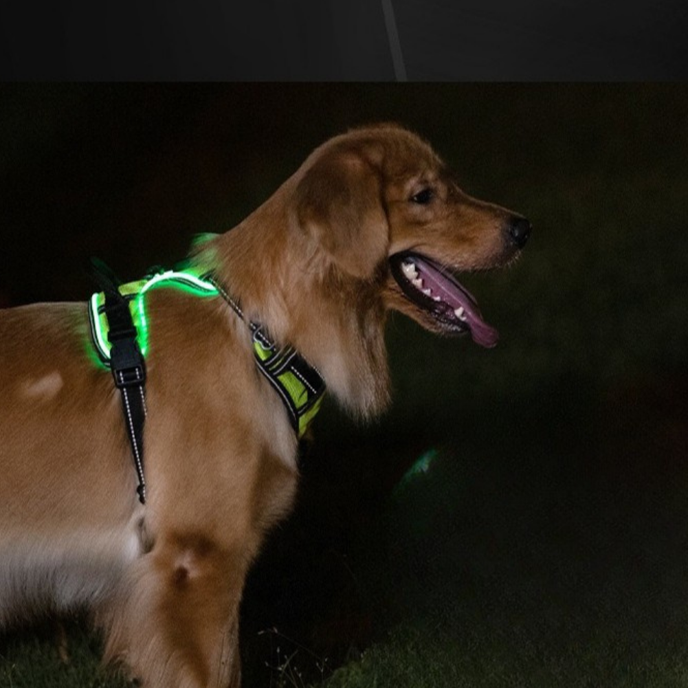 GlowPup – Harnais pour chien LED rechargeable avec sangle ajustable