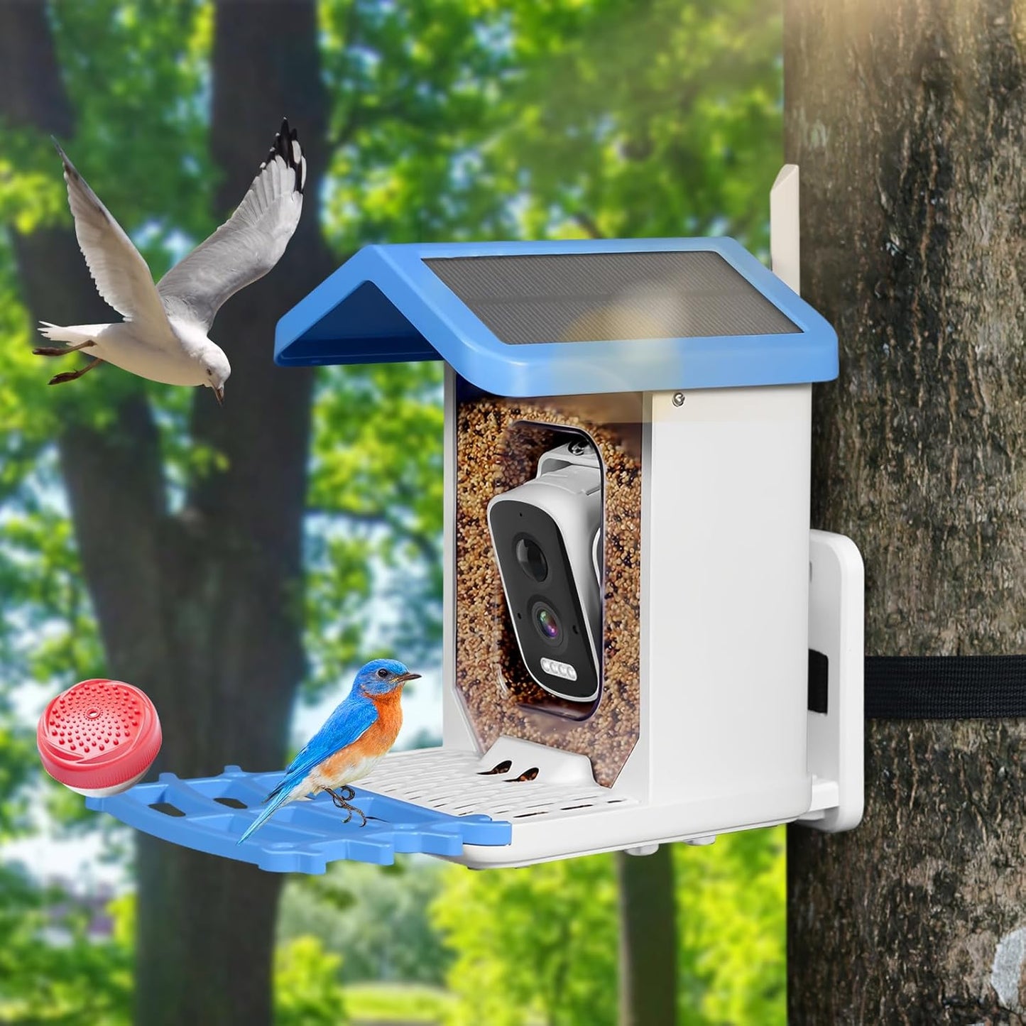 SolarNest Cam - Slimme Vogelvoeder met Camera – HD Nachtzicht, Wi-Fi & Zonne-energie