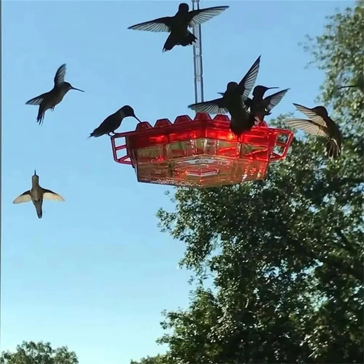 Ant-Proof Hanging Hummingbird Feeder with 30 Feeding Ports and Resting Perch 8