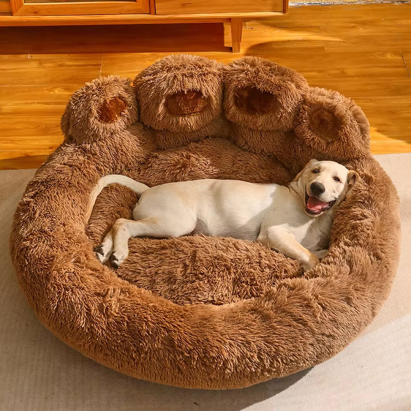 Axel Hundebett