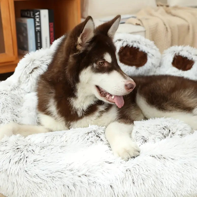 Axel Hundebett