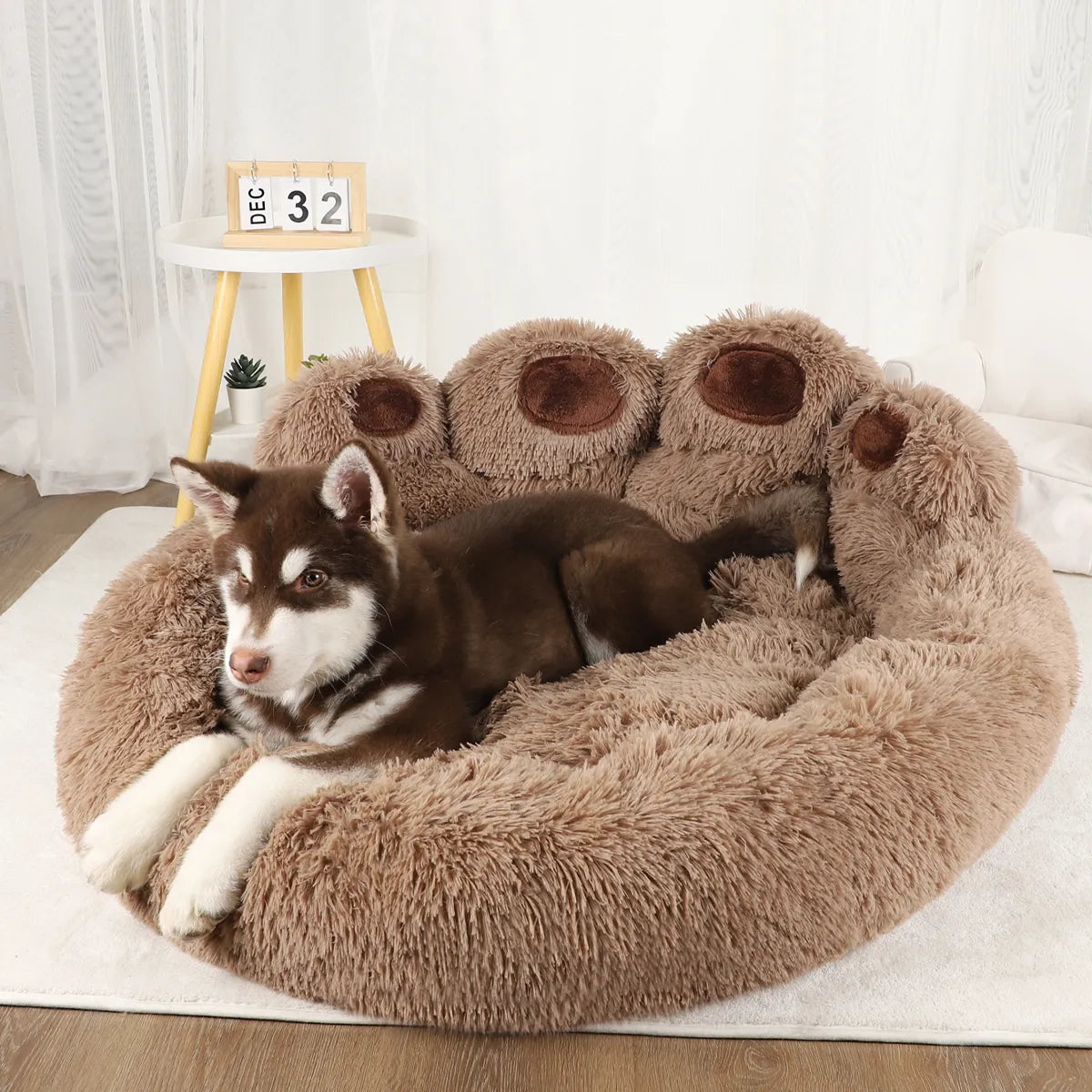 Axel Hundebett