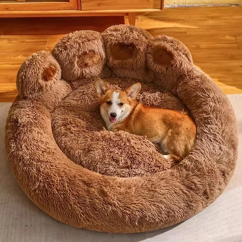Axel Hundebett