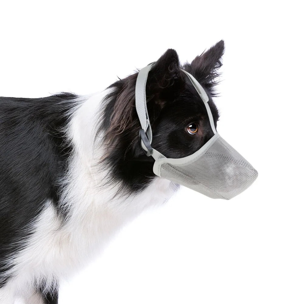 Breathable Soft Mesh Dog Muzzle – Lightweight Adjustable Basket Muzzle for Small Dogs, Comfortable and Durable Design 7