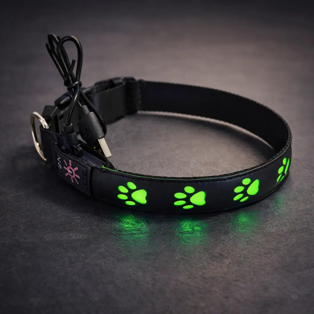 LED Hundehalsband für Sichtbarkeit bei Nacht & Dunkelheit