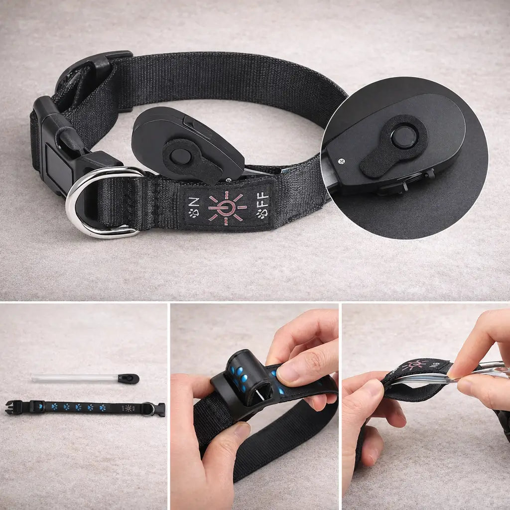 LED Hundehalsband für Sichtbarkeit bei Nacht & Dunkelheit