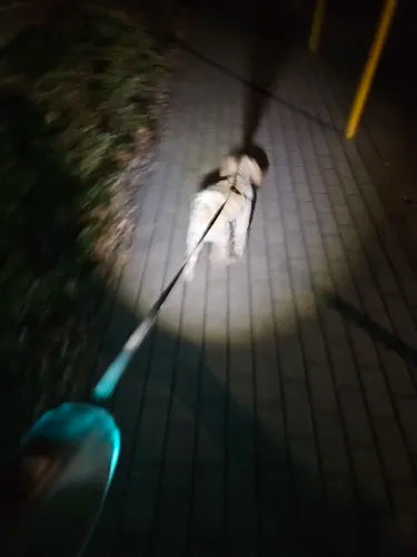 Ultimate Bezpieczeństwo dla Psów z LED