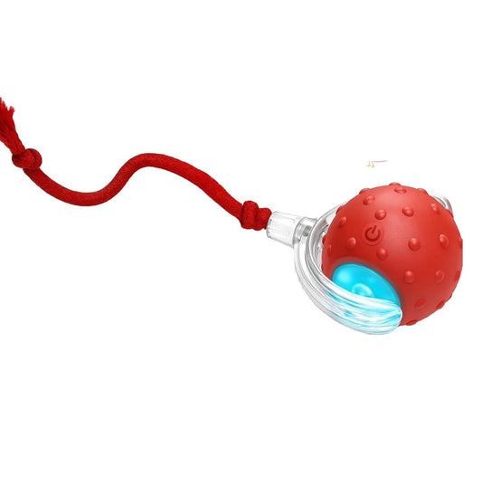 Interactive Motion Dog Toy – Self-Rolling Ball for Engaging Play and Exercise 0