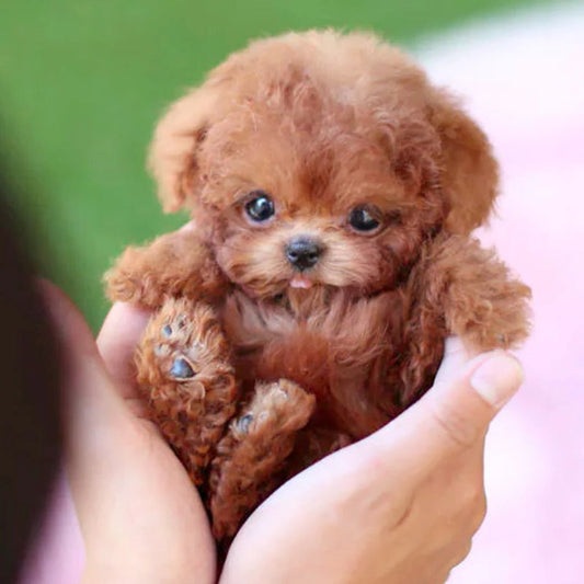 Interactive Realistic Robotic Puppy – Voice Command Responsive Plush Puppy Robot Dog for All Ages 0