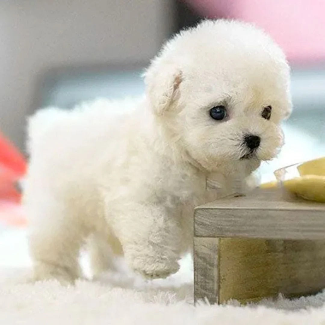 Interactive Realistic Robotic Puppy – Voice Command Responsive Plush Puppy Robot Dog for All Ages 1
