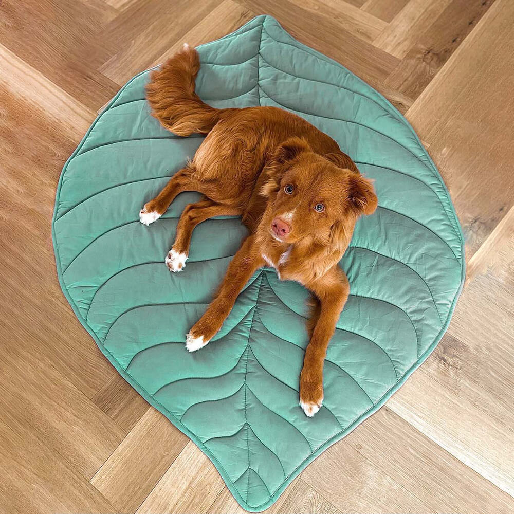 Leaf Shape Dog Blanket – Soft, Durable Pet Mat for Cozy Comfort and All Sizes – Machine Washable 1