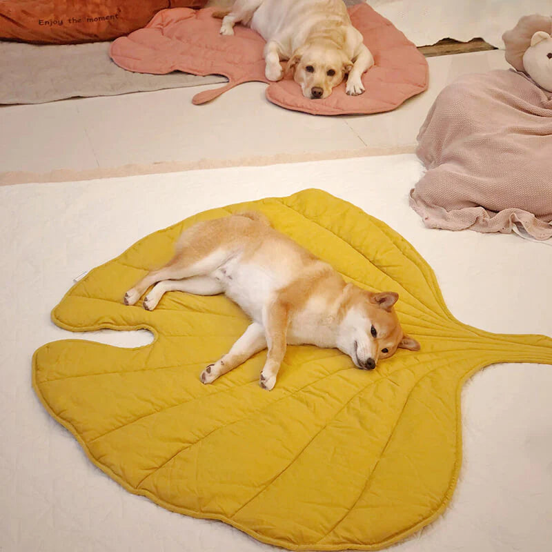 Leaf Shape Dog Blanket – Soft, Durable Pet Mat for Cozy Comfort and All Sizes – Machine Washable 6