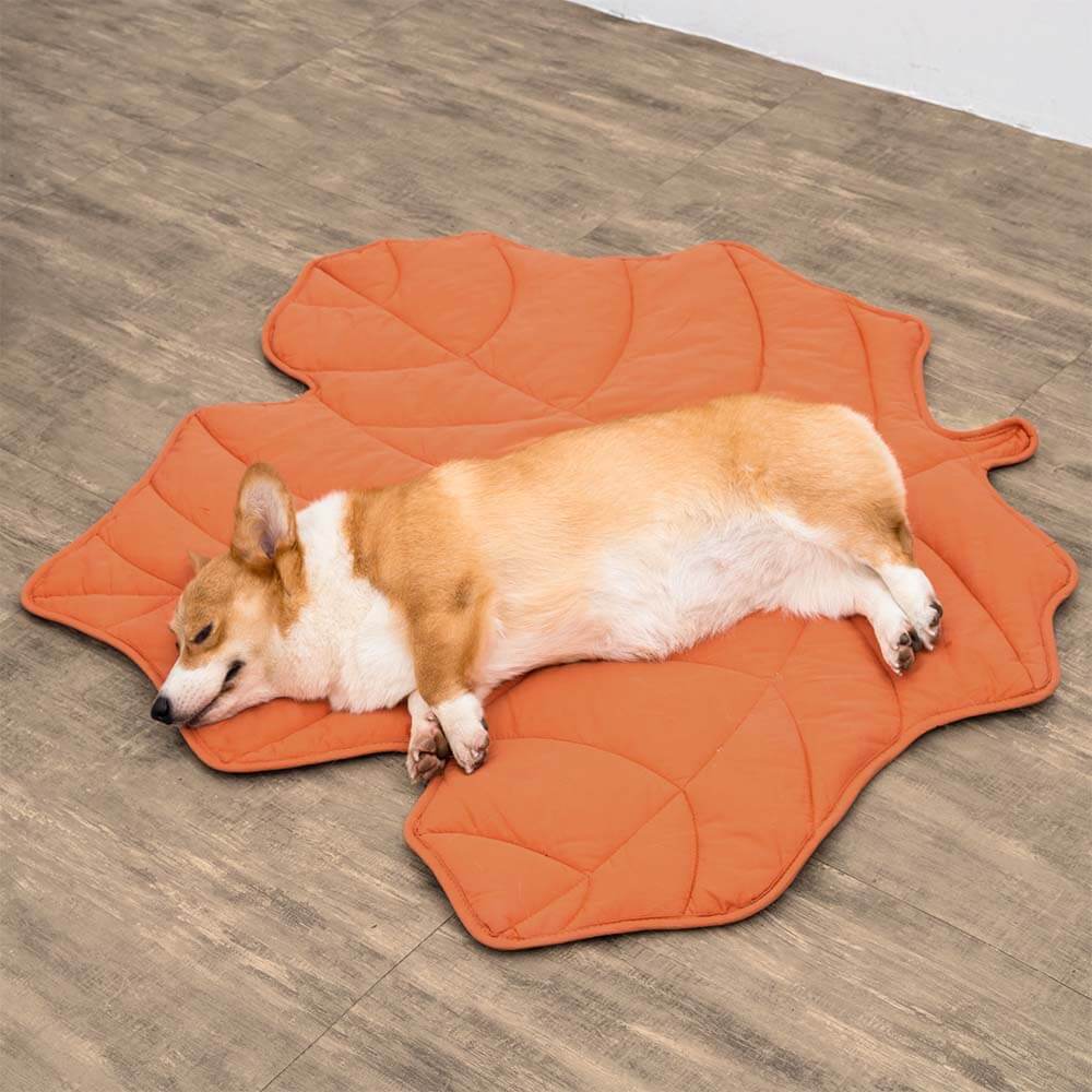 Leaf Shape Dog Blanket – Soft, Durable Pet Mat for Cozy Comfort and All Sizes – Machine Washable 8