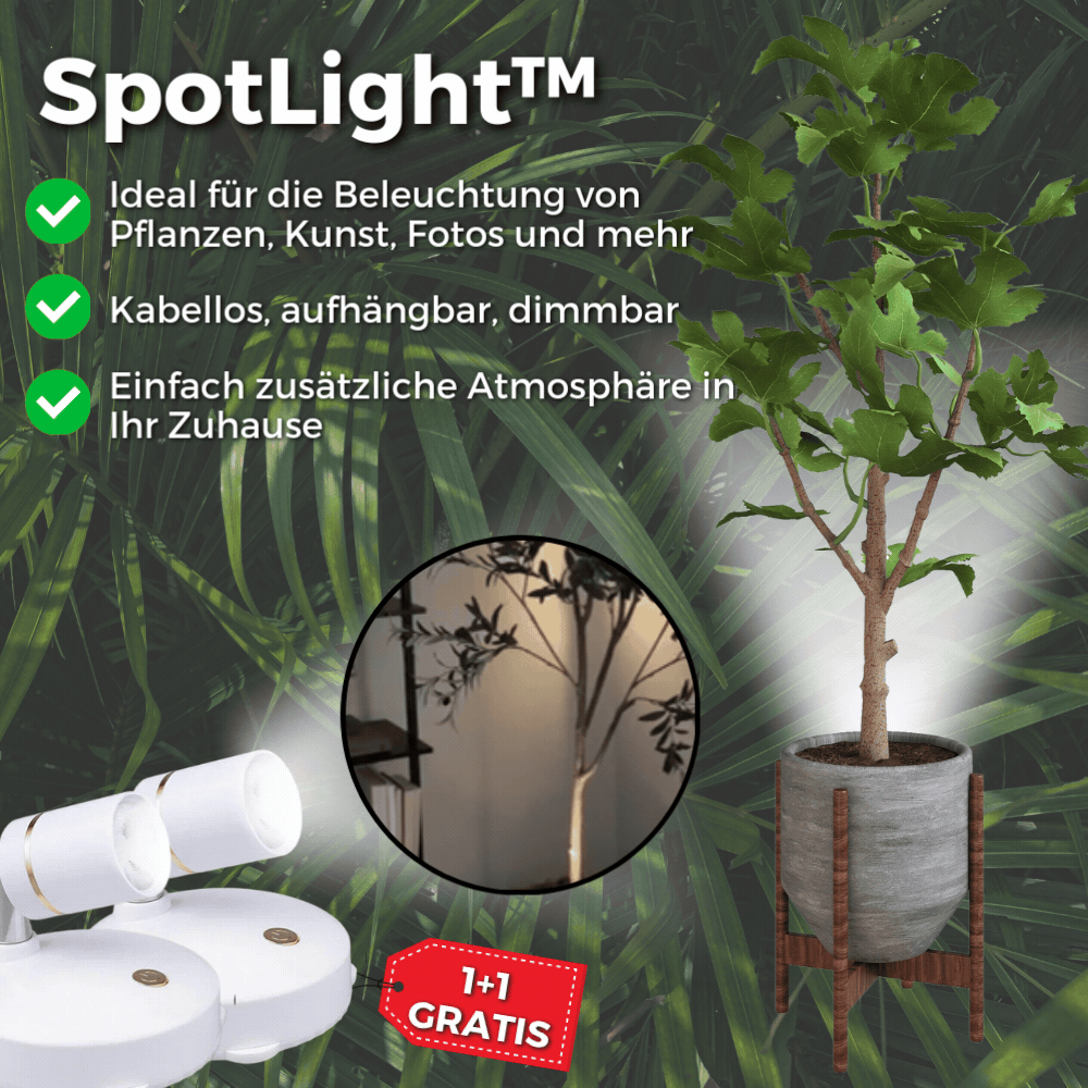 1+1  FREE | SpotLight - Bring Light & Atmosphere Wherever You Need It!