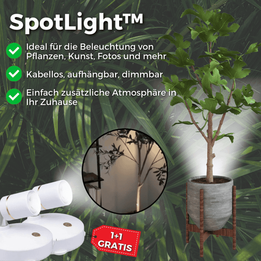1+1  FREE | SpotLight - Bring Light & Atmosphere Wherever You Need It!