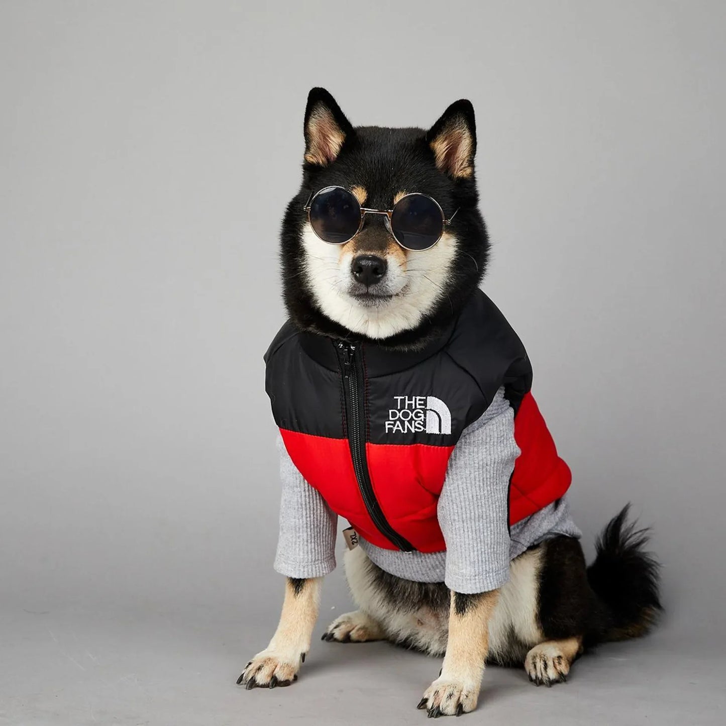 The Dog Fans Luxe Hondenpak