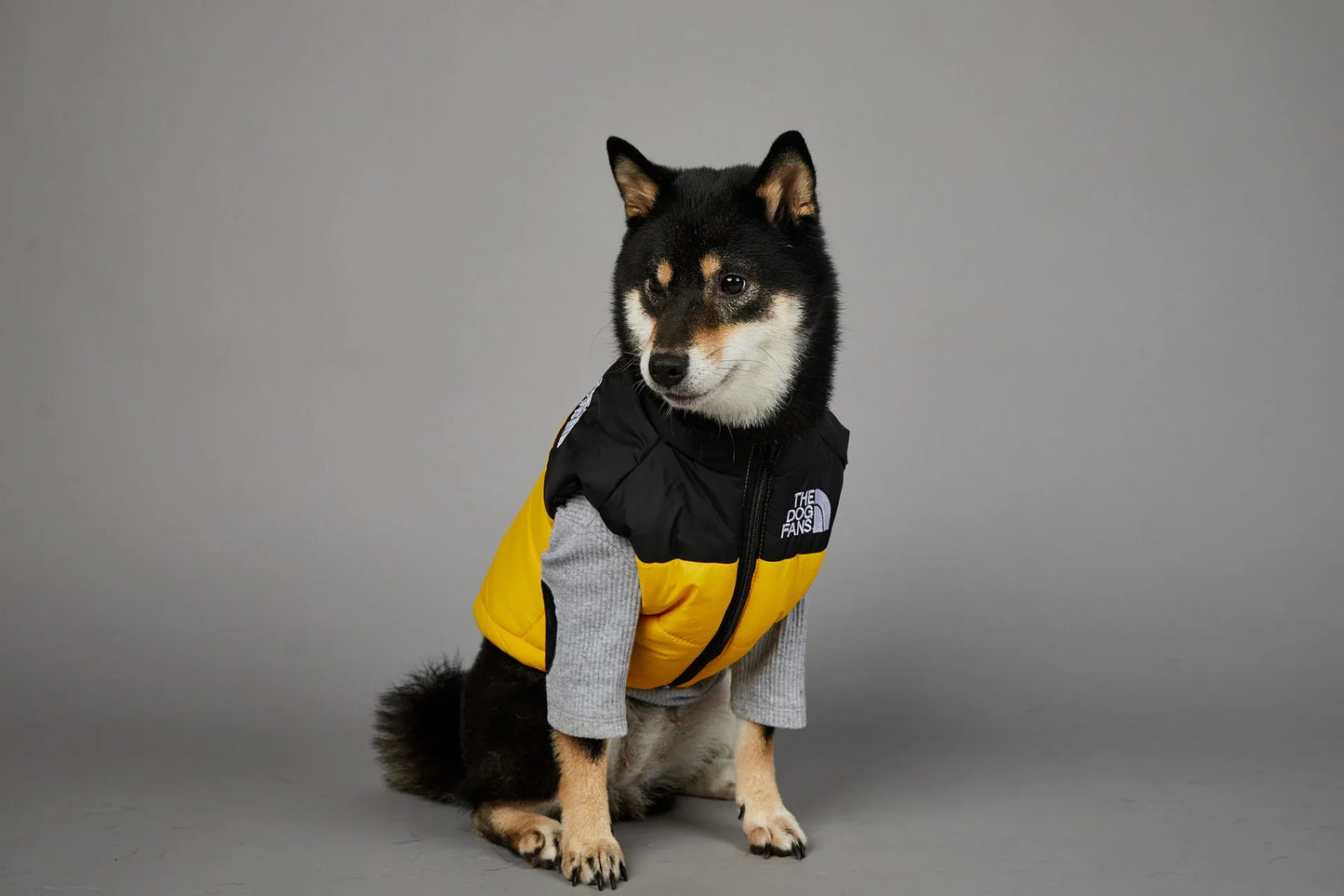 The Dog Fans Luxe Hondenpak