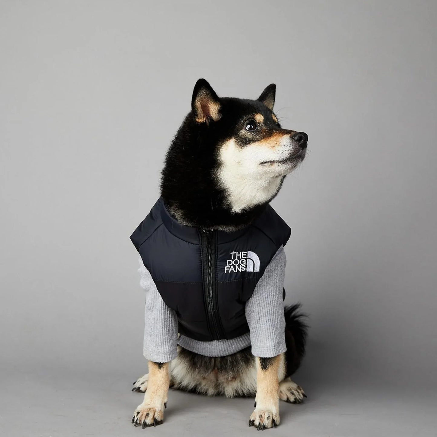 The Dog Fans Luxe Hondenpak