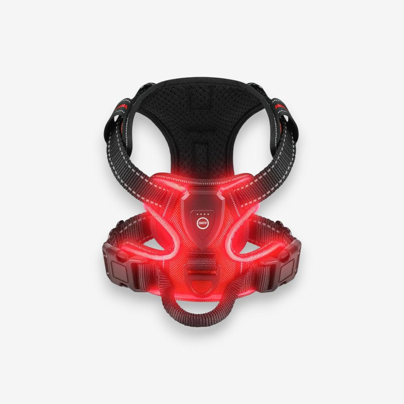 GlowPup – Harnais pour chien LED rechargeable avec sangle ajustable