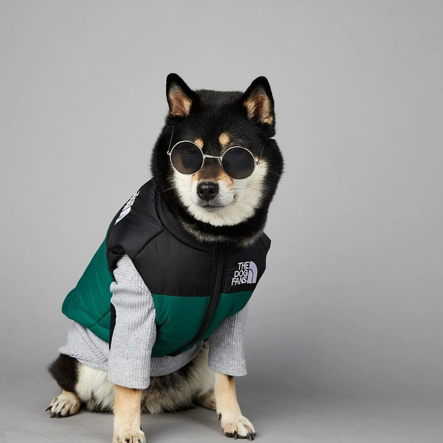 The Dog Fans Luxe Hondenpak
