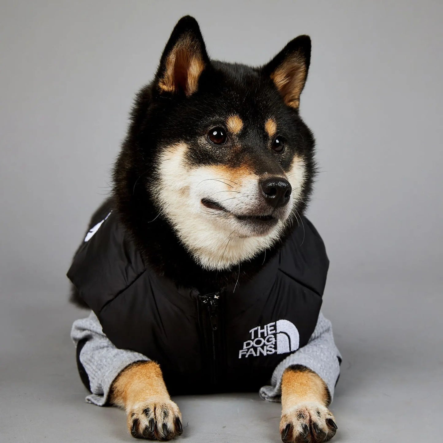 The Dog Fans Luxe Hondenpak
