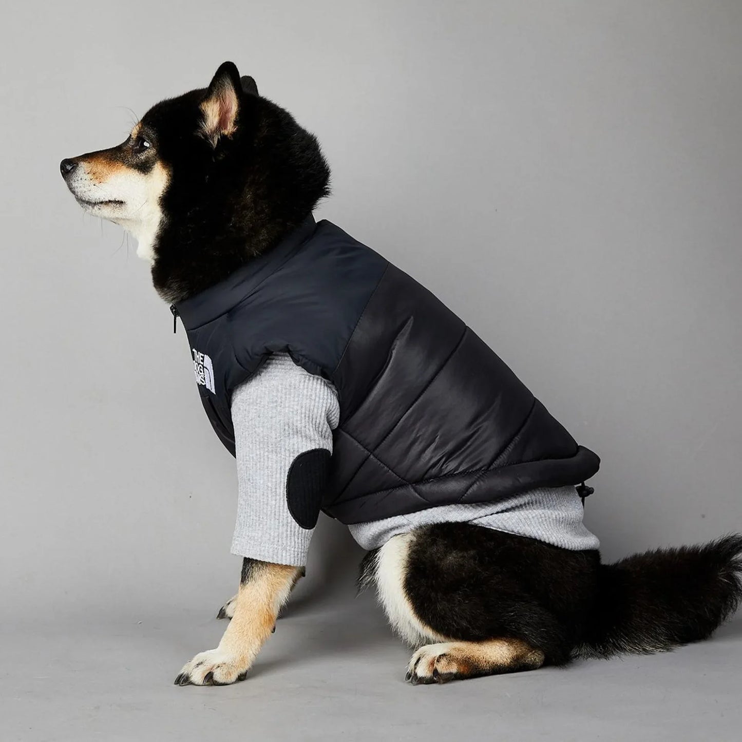 The Dog Fans Luxe Hondenpak