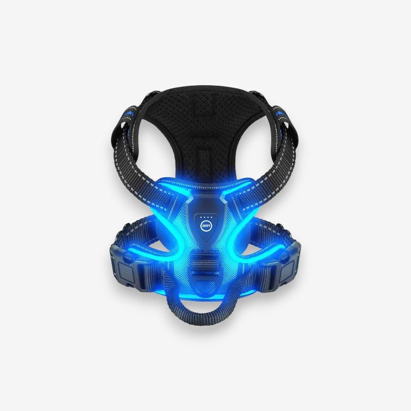 GlowPup – Harnais pour chien LED rechargeable avec sangle ajustable