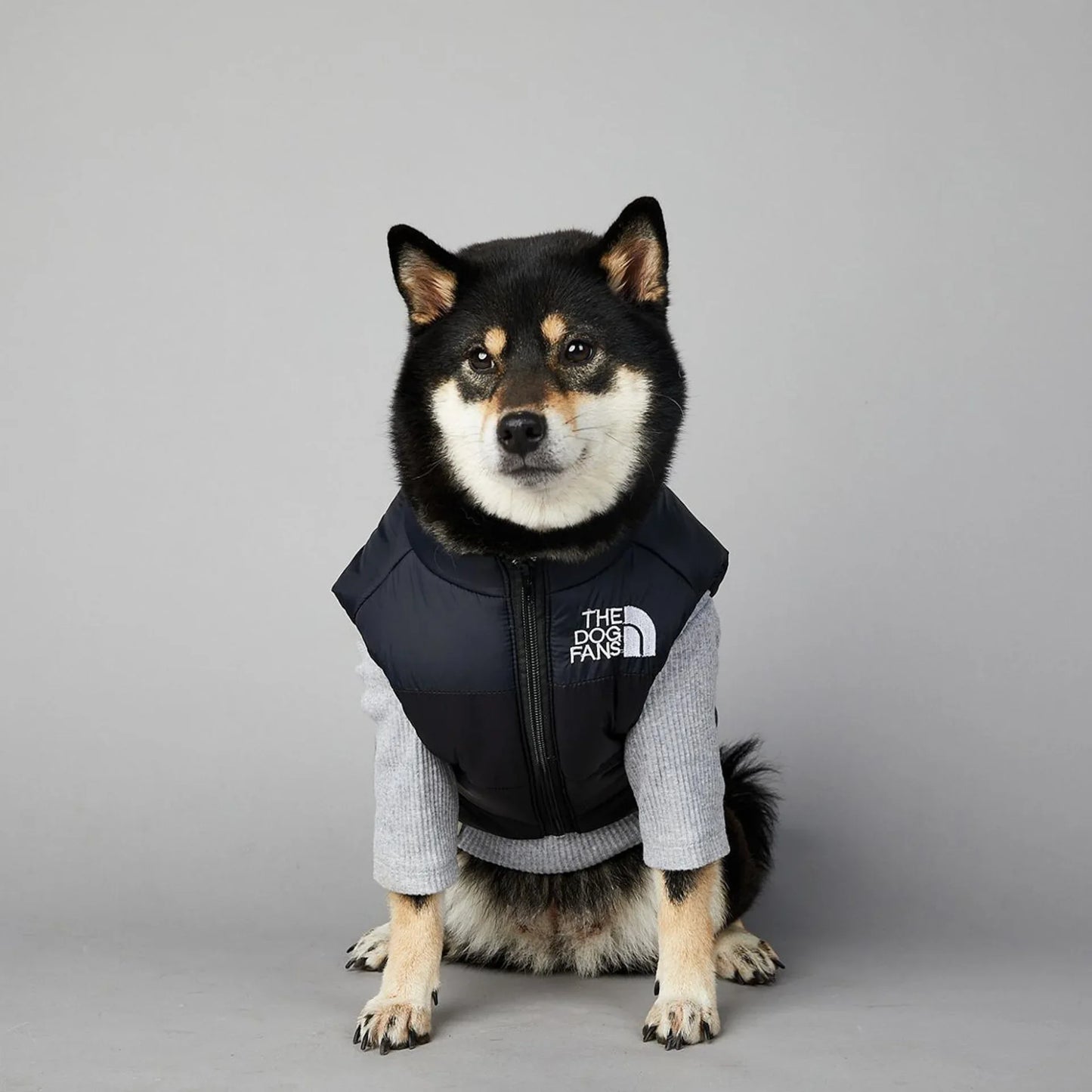 The Dog Fans Luxe Hondenpak