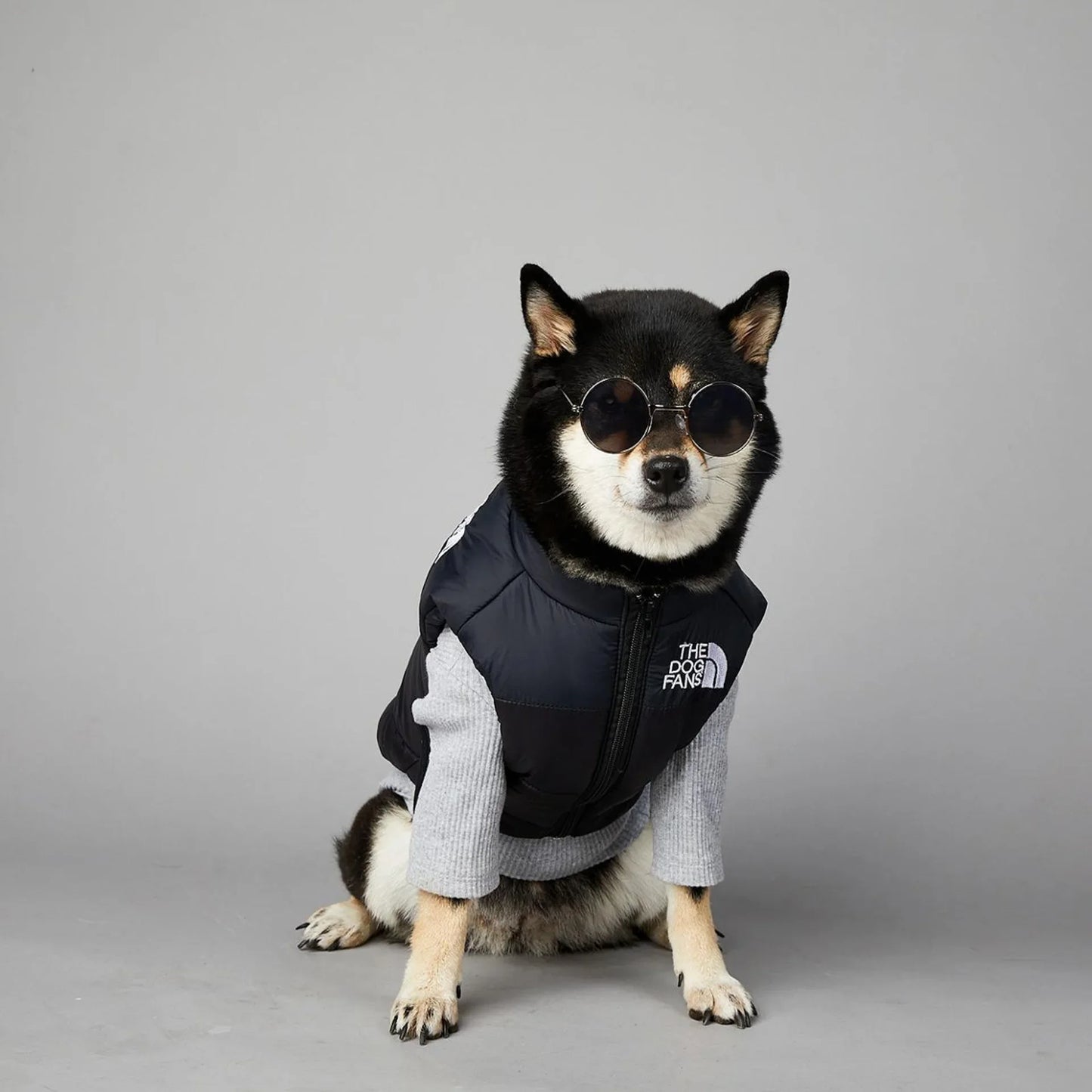 The Dog Fans Luxe Hondenpak