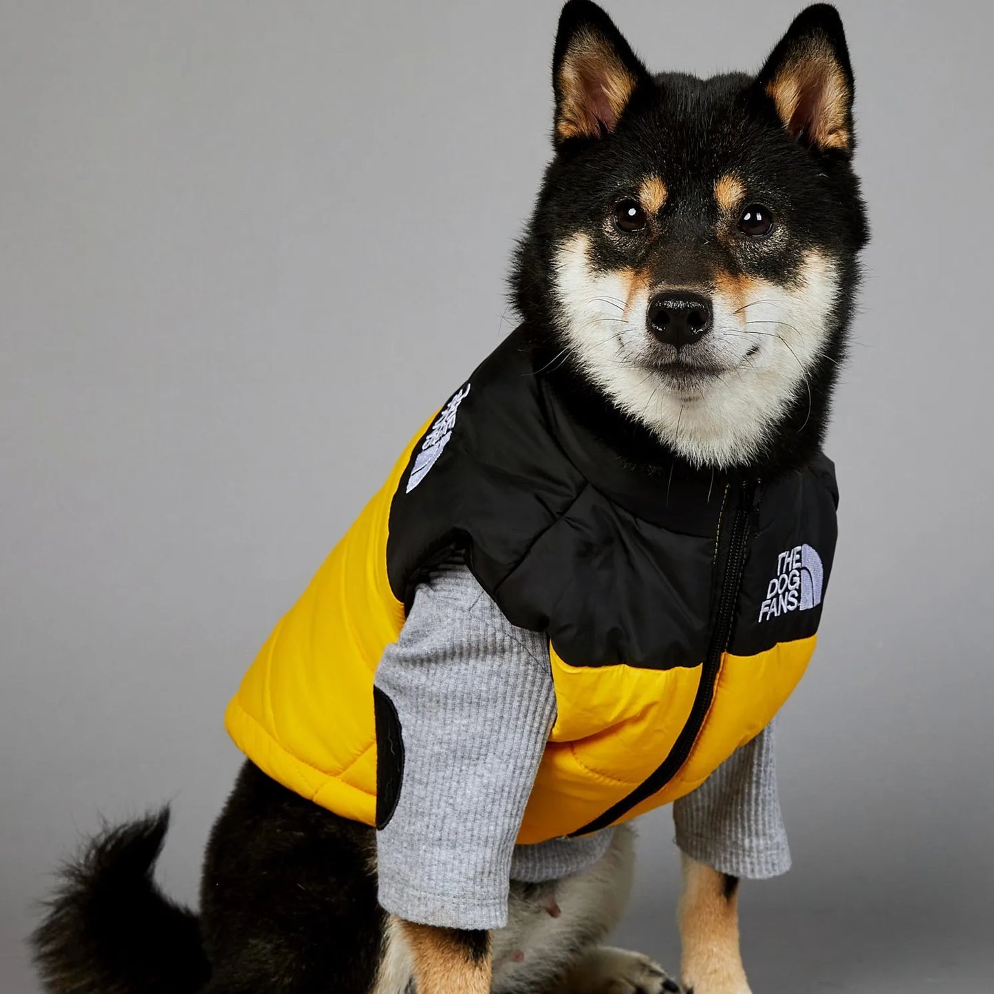 The Dog Fans Luxe Hondenpak