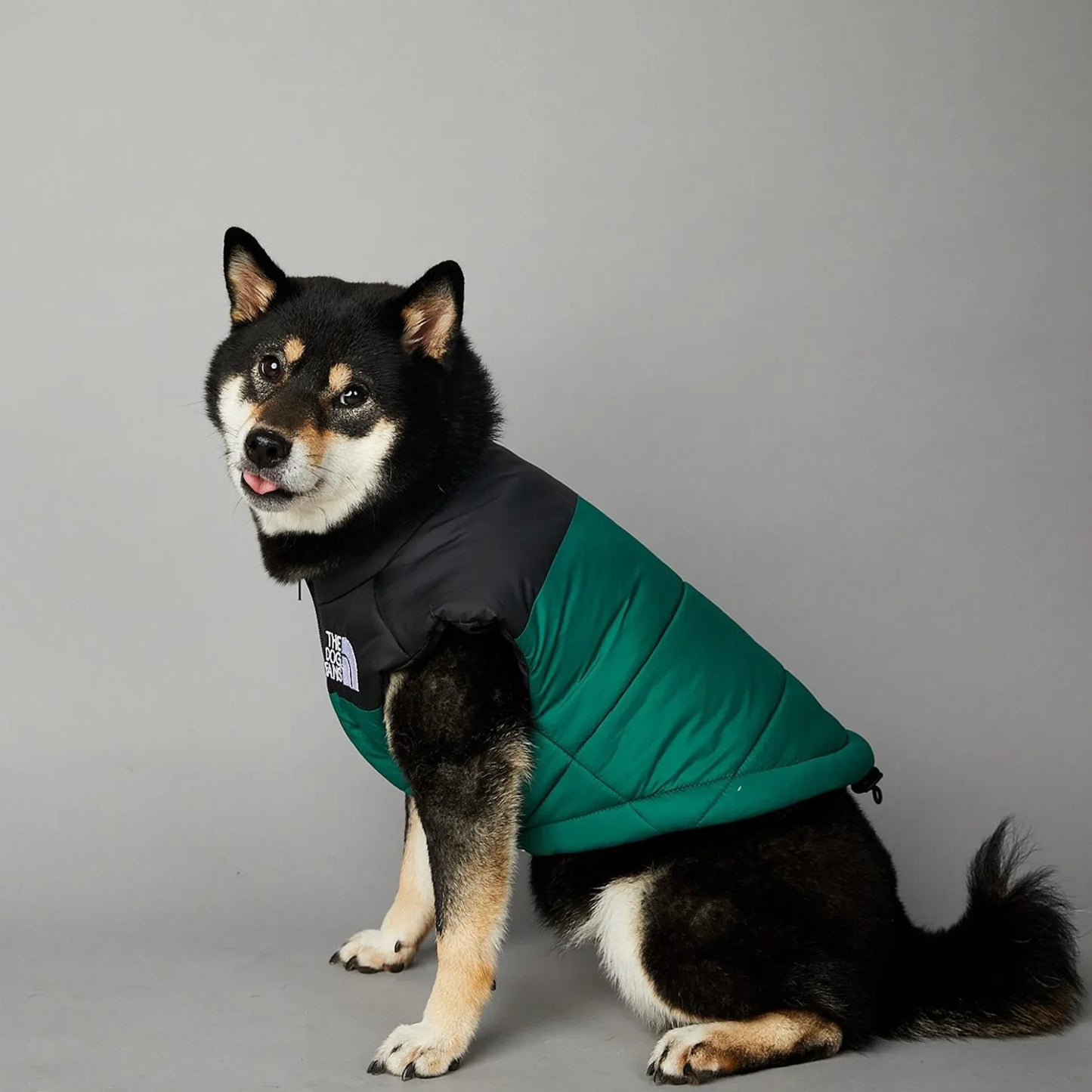 The Dog Fans Luxe Hondenpak