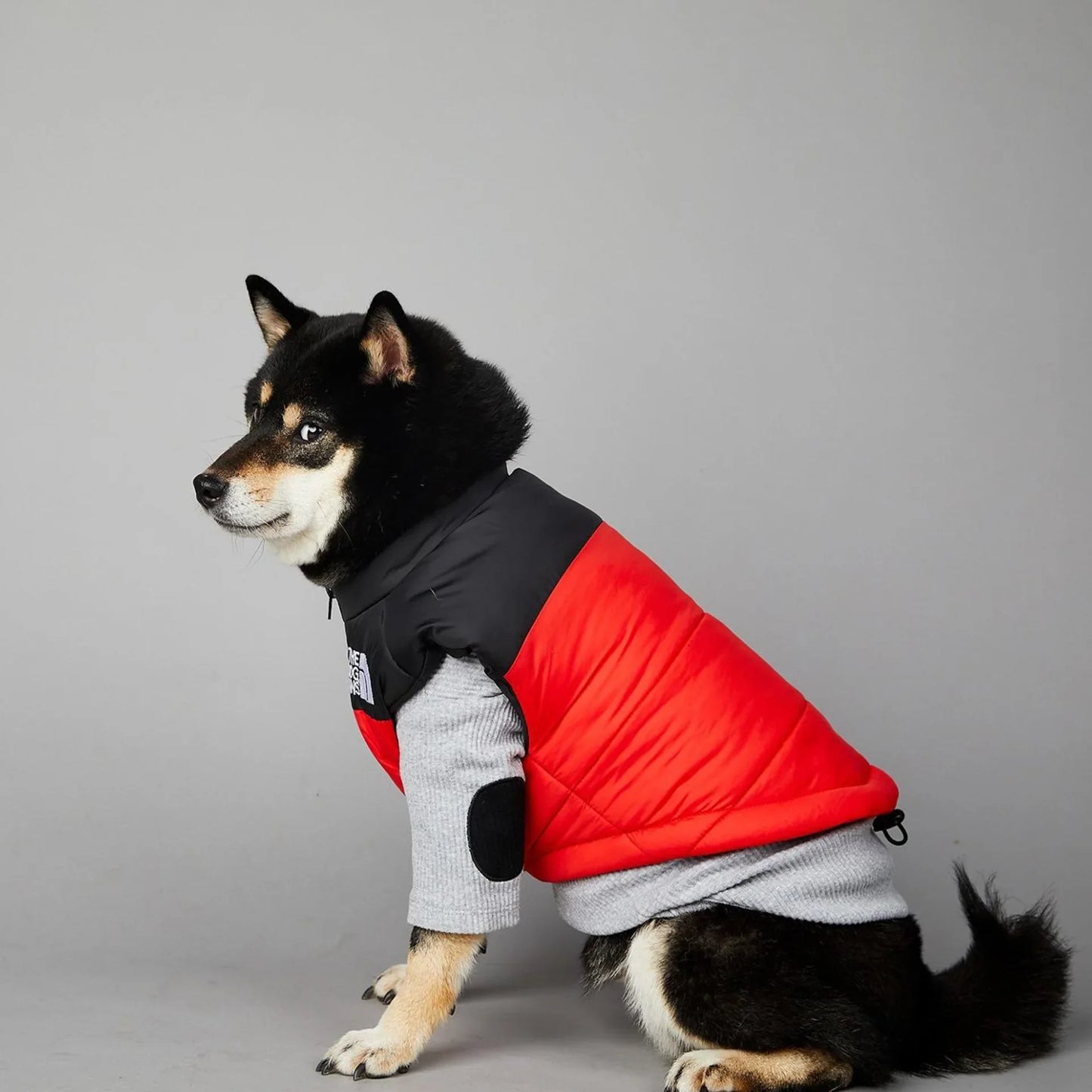 The Dog Fans Luxe Hondenpak