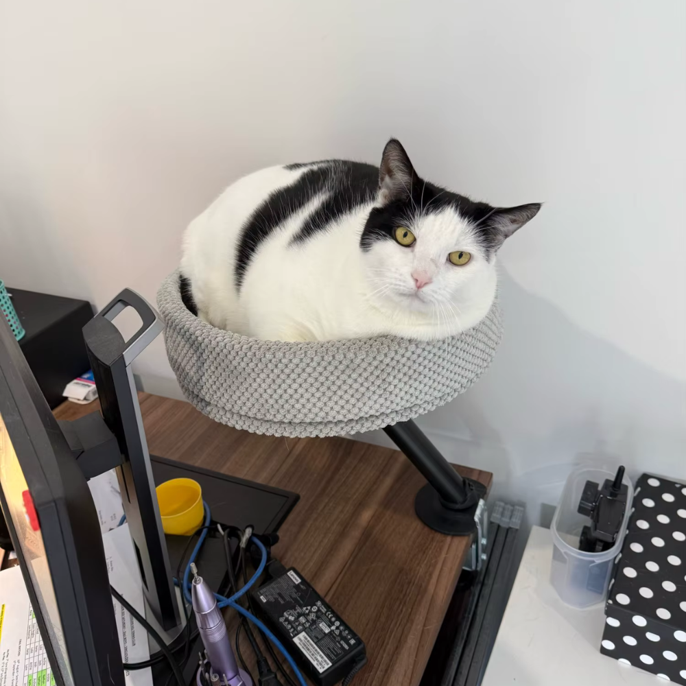 Cat Desk Bed | 360° Rotating Cozy Space-Saving Cat Lounge