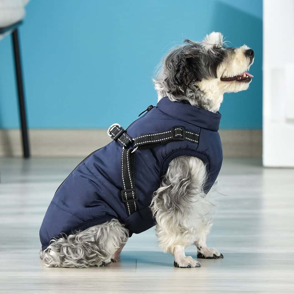 HundeVest - Vandtæt vinterdækken til hunde
