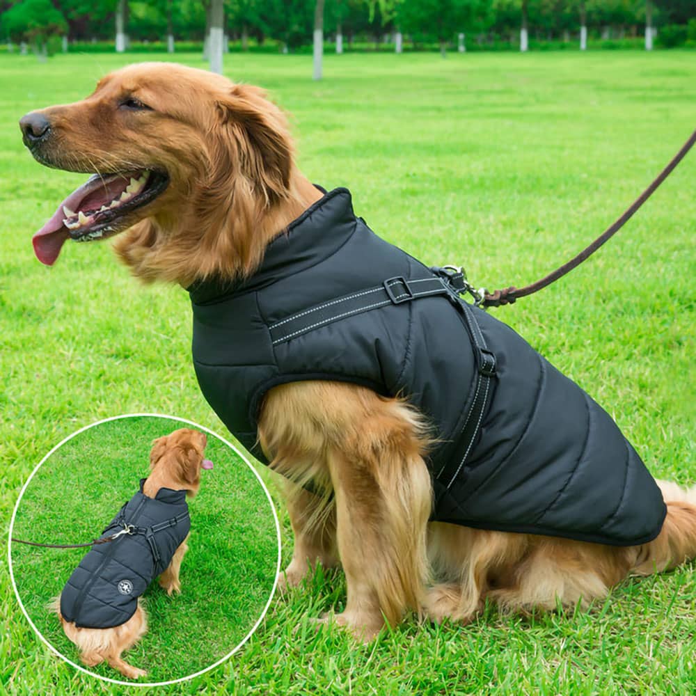 HundeVest - Vandtæt vinterdækken til hunde