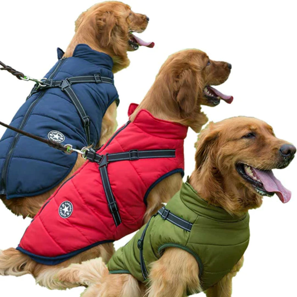 HundeVest - Vandtæt vinterdækken til hunde