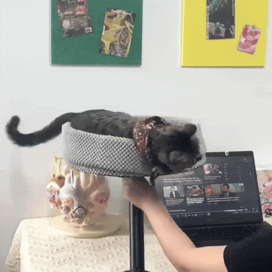 Cat Desk Bed | 360° Rotating Cozy Space-Saving Cat Lounge