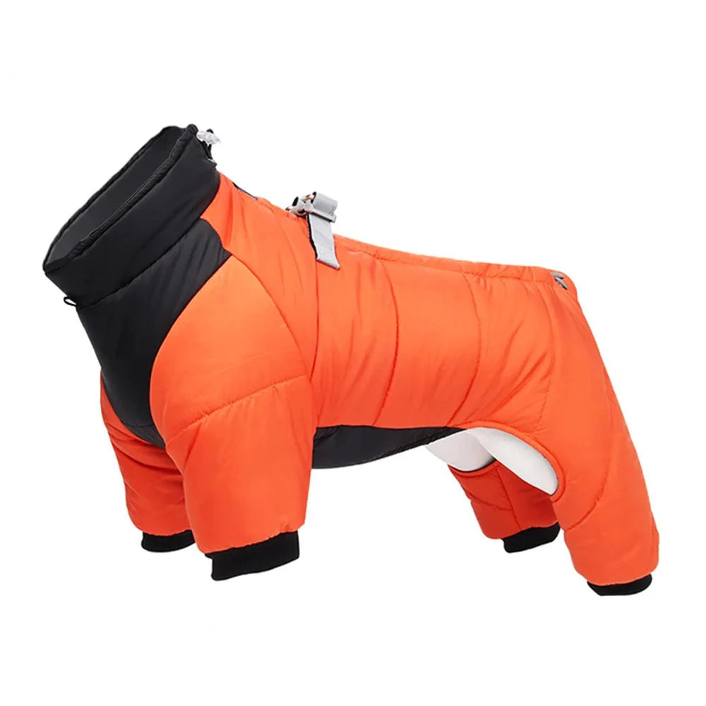 Hondenjas Winter waterdicht Polyester – Warmte en Bescherming Grijs - Hebbr