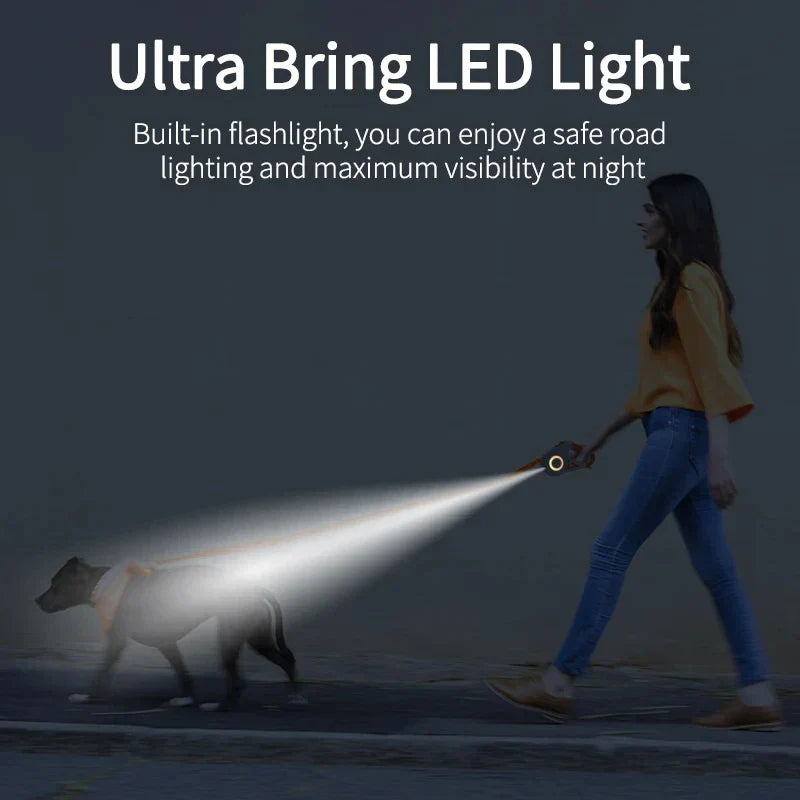 Luxe LED einziehbare Hundeleine | Sicher und sichtbar bei Nachtwanderungen