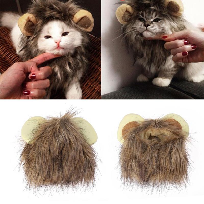 Lion manes for your cat - LionPaws-Nora Luxe