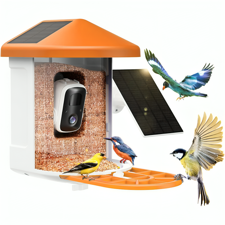 Smart fuglefoderautomat med AI og solenergi – Se fugle i 2K