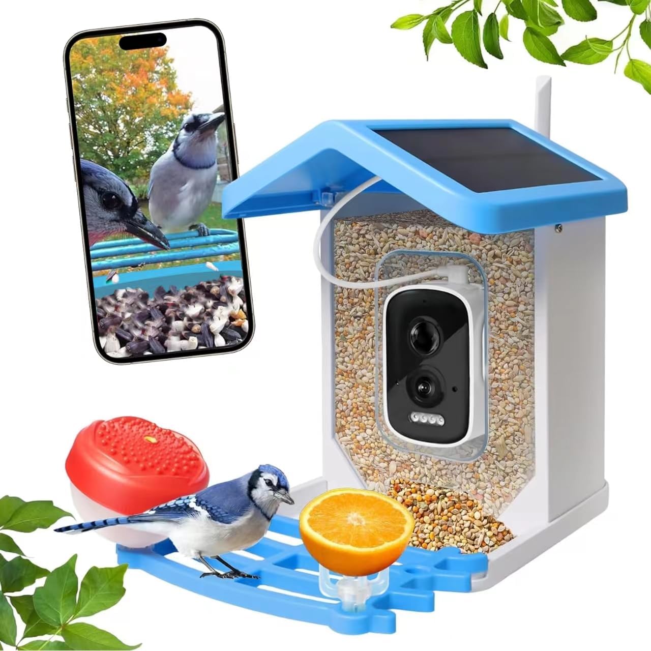 SolarNest Cam - Slimme Vogelvoeder met Camera – HD Nachtzicht, Wi-Fi & Zonne-energie